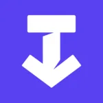 SSS TikTok Downloader